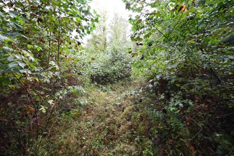 1 England Road Philippi WV 26416