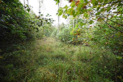 1 England Road Philippi WV 26416