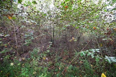1 England Road Philippi WV 26416