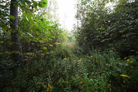 1 England Road Philippi WV 26416