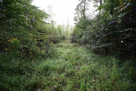 1 England Road Philippi WV 26416
