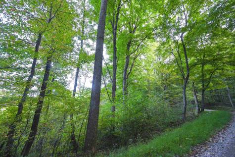 1 England Road Philippi WV 26416