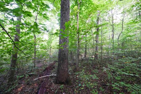 1 England Road Philippi WV 26416