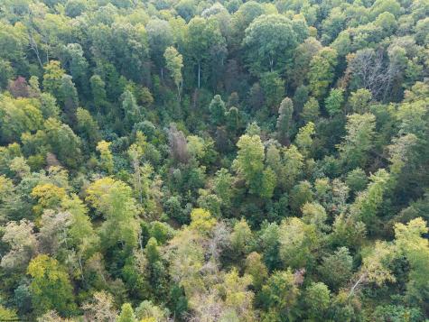 1 England Road Philippi WV 26416