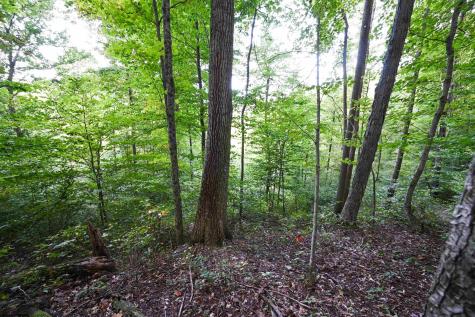 1 England Road Philippi WV 26416