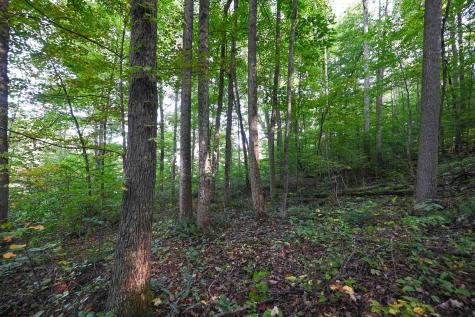 1 England Road Philippi WV 26416