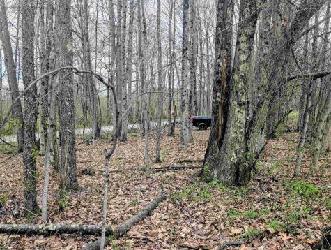 Lot 13 Sand Bank Road Masontown WV 26542
