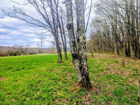13 Sand Bank Road Masontown WV 26542