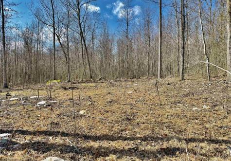 Lot 3 Brooklyn Way Moatsville WV 26405