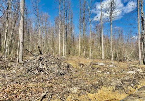 Lot 3 Brooklyn Way Moatsville WV 26405