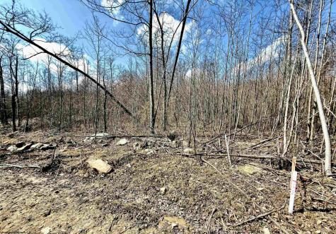 3 Brooklyn Way Moatsville WV 26405