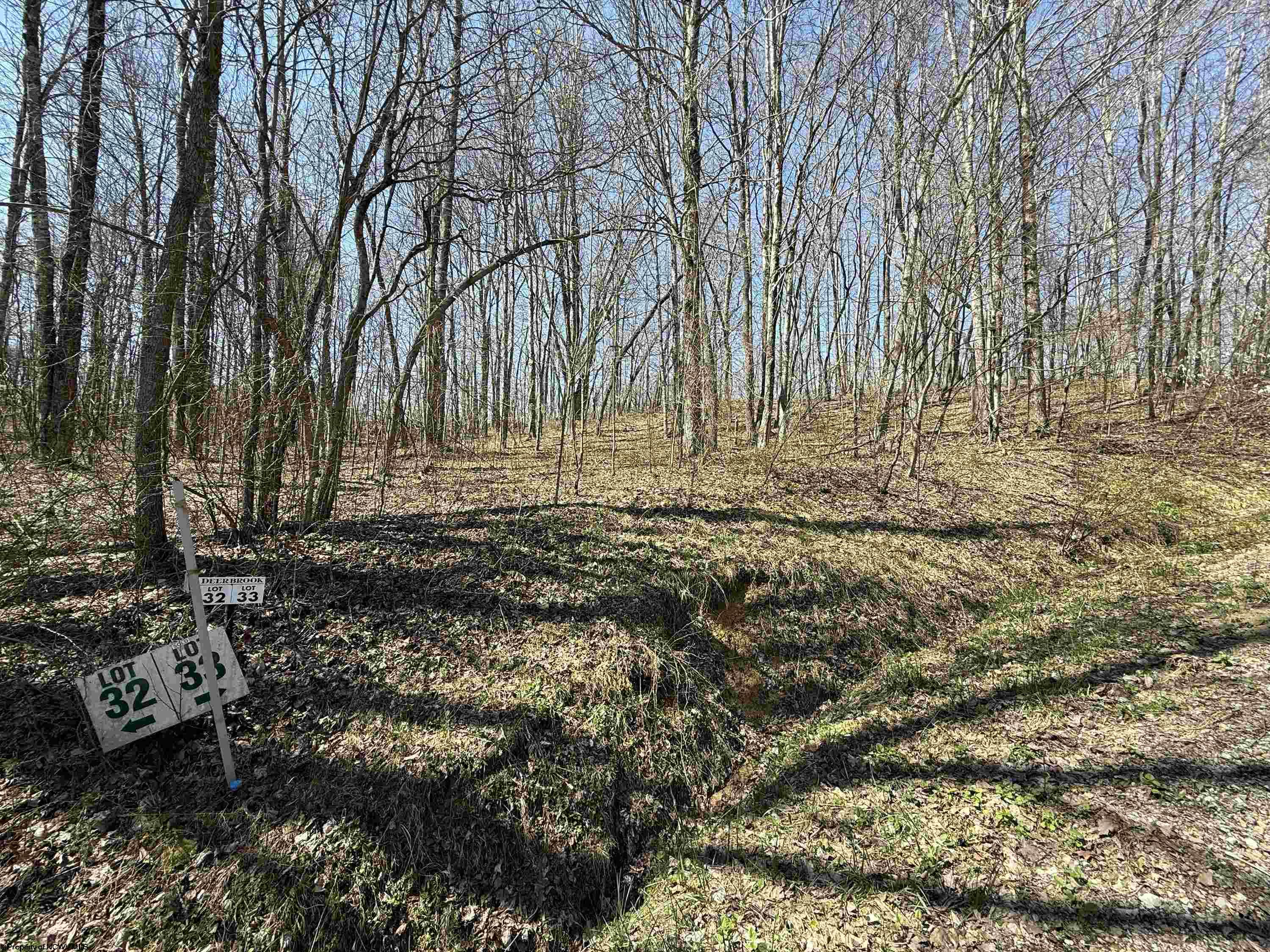 0 Silver Oak Lane Belington WV 26250