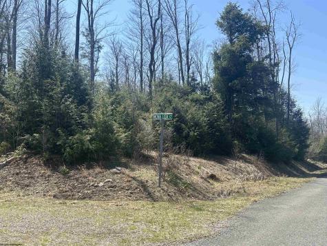 193 Florence Court Davis WV 26260