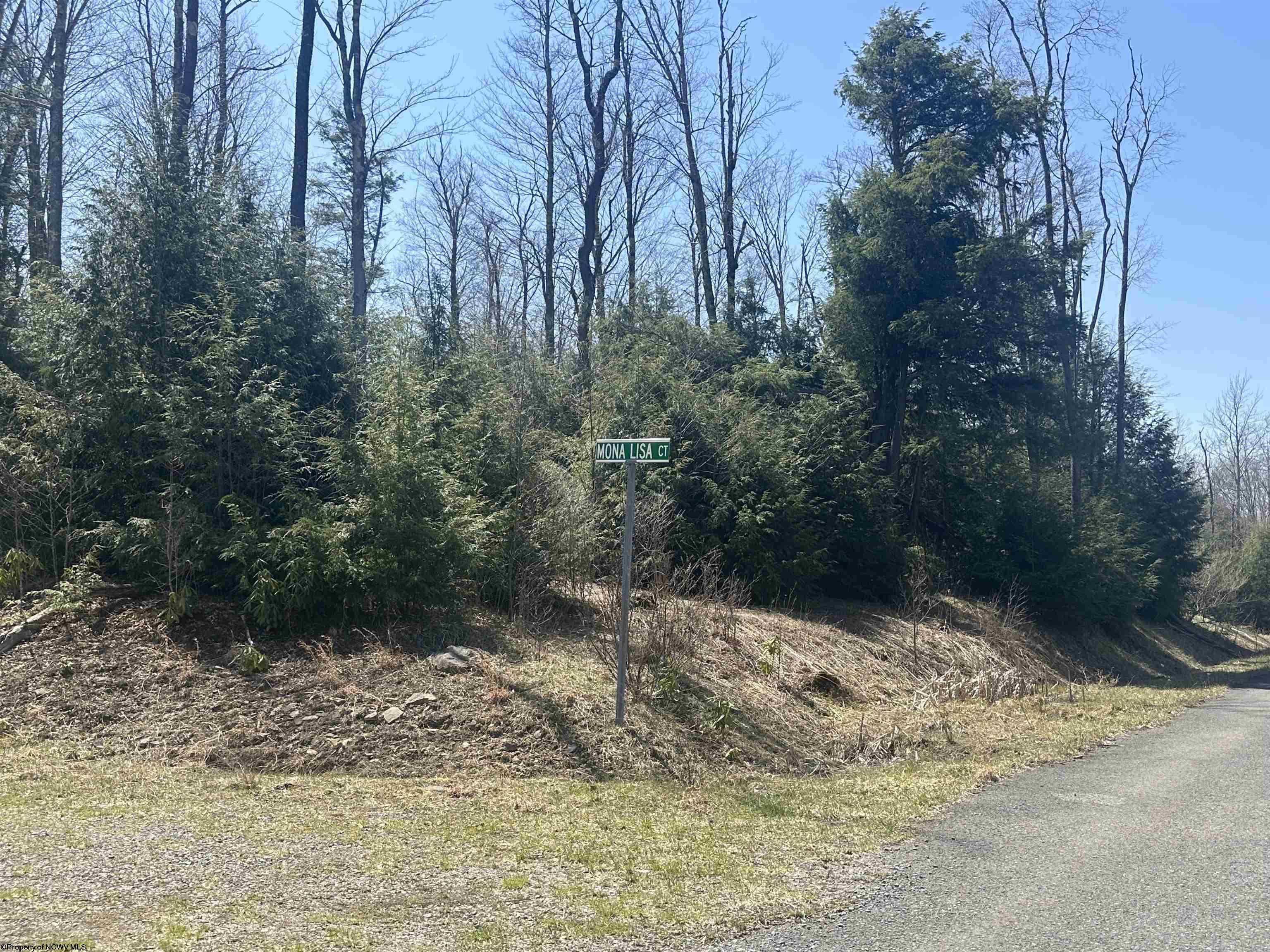 193 Florence Court Davis WV 26260