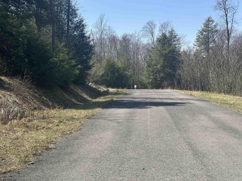 193 Florence Court Davis WV 26260