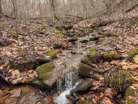 1 Red Rock Road Rowlesburg WV 26425