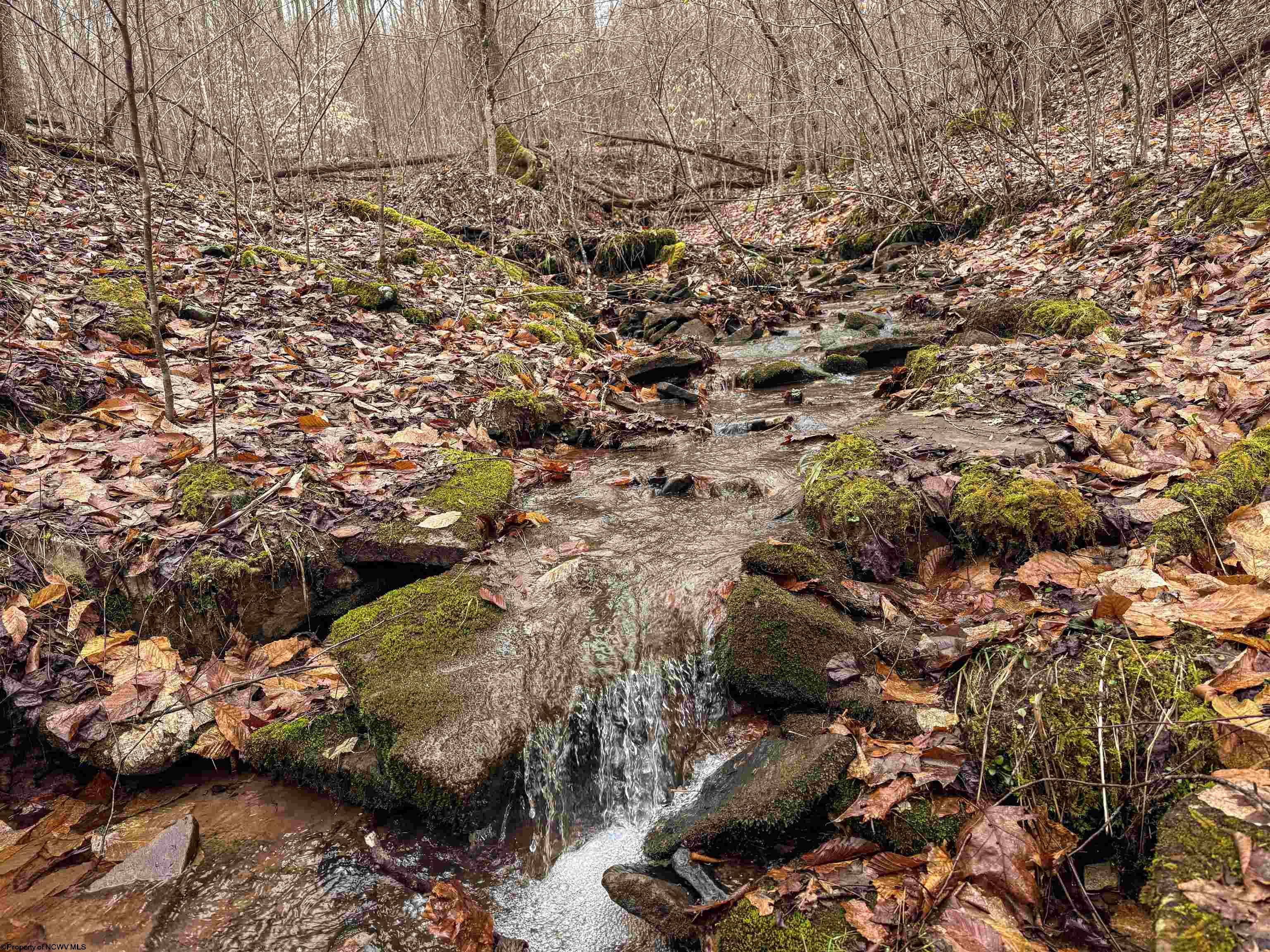 1 Red Rock Road Rowlesburg WV 26425