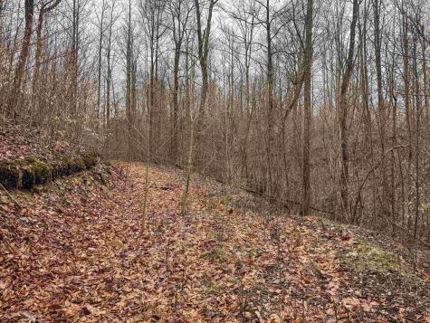 1 Red Rock Road Rowlesburg WV 26425