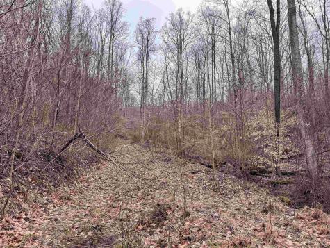 1 Red Rock Road Rowlesburg WV 26425