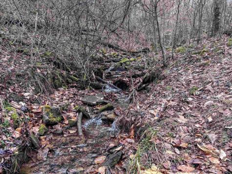 1 Red Rock Road Rowlesburg WV 26425
