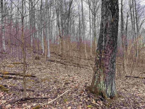 1 Red Rock Road Rowlesburg WV 26425