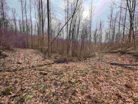 1 Red Rock Road Rowlesburg WV 26425
