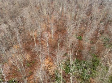 1 Red Rock Road Rowlesburg WV 26425