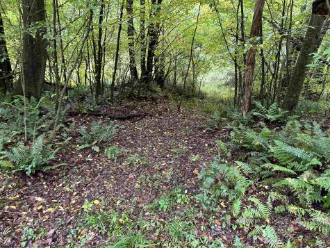 1 Deckers Trail Road Masontown WV 26542