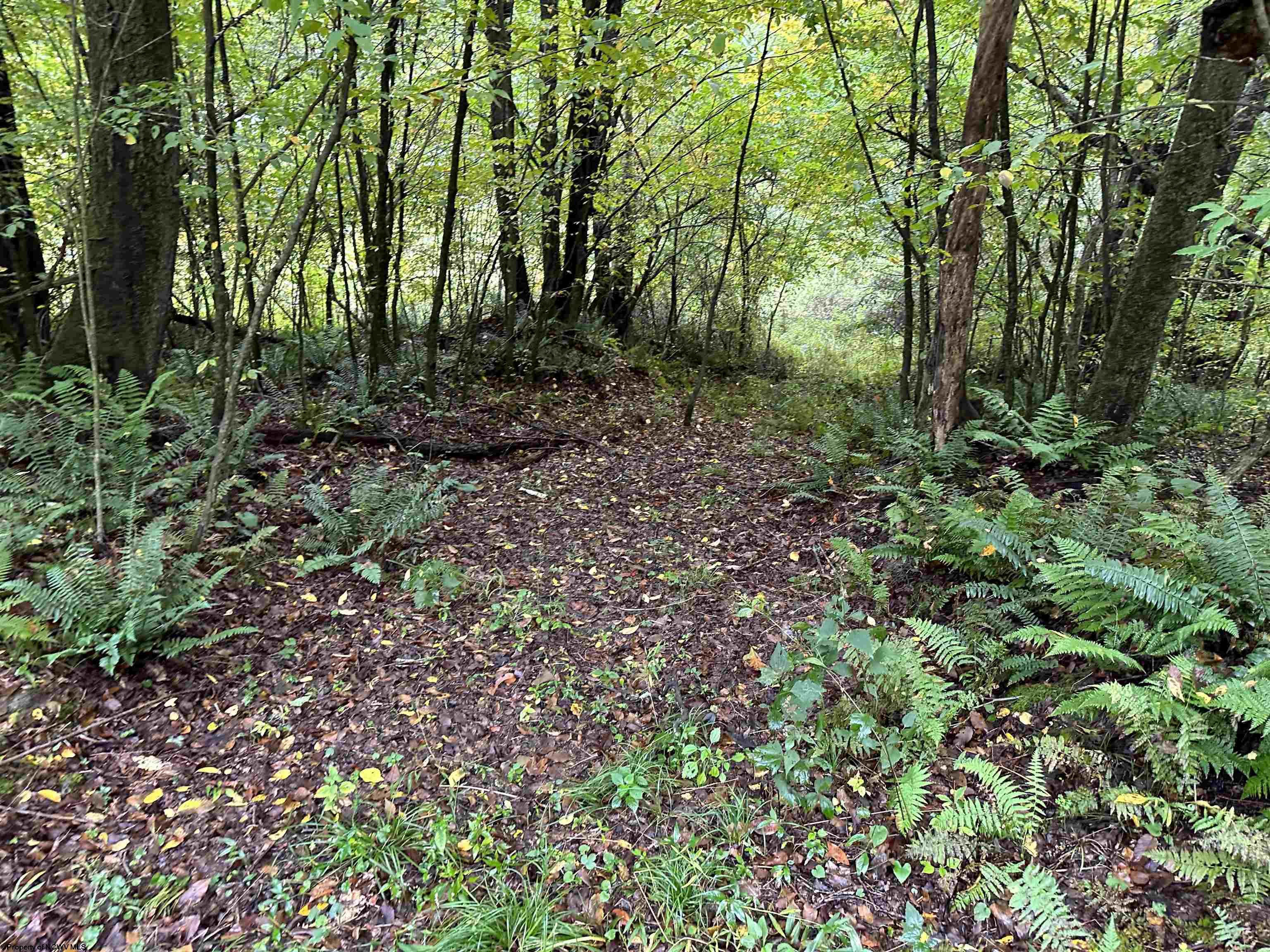 1 Deckers Trail Road Masontown WV 26542