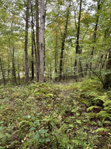 1 Deckers Trail Road Masontown WV 26542