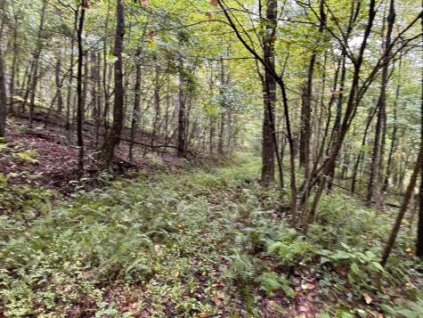 1 Deckers Trail Road Masontown WV 26542