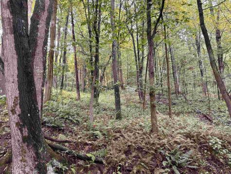 1 Deckers Trail Road Masontown WV 26542