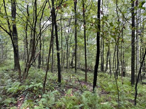 1 Deckers Trail Road Masontown WV 26542