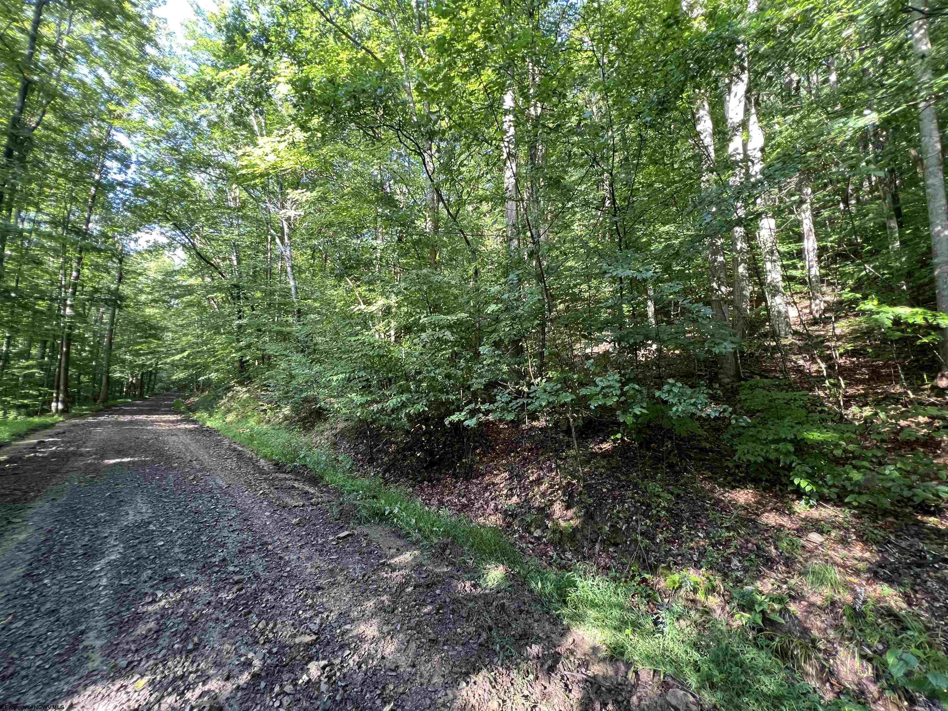 0 Fallen Timber Road Ireland WV 26376