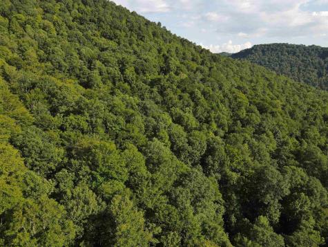 0 Fallen Timber Road Ireland WV 26376