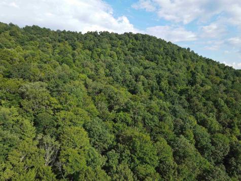 0 Fallen Timber Road Ireland WV 26376