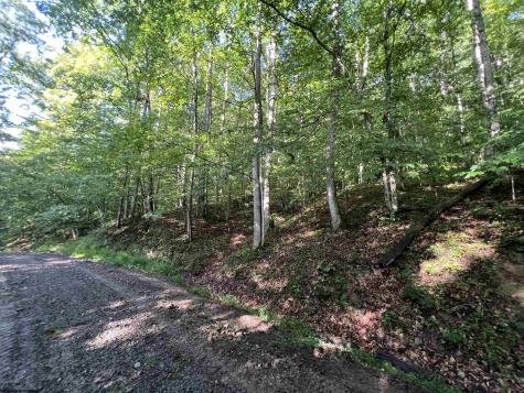 0 Fallen Timber Road Ireland WV 26376