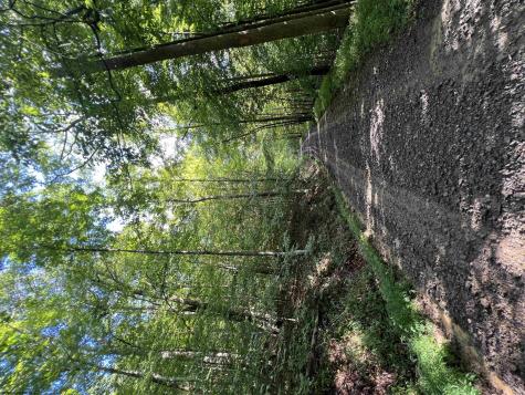 0 Fallen Timber Road Ireland WV 26376