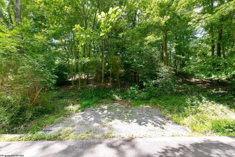 0 Des Moines Avenue Morgantown WV 26505