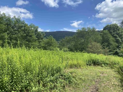 133 Sunset Mountain Village Drive Slaty Fork WV 26291