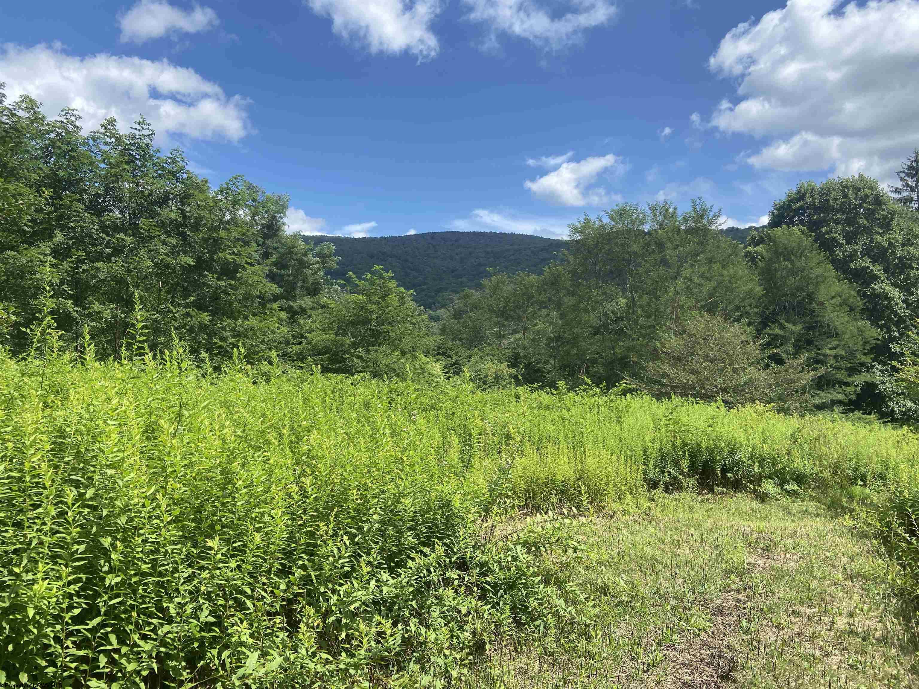 133 Sunset Mountain Village Drive Slaty Fork WV 26291