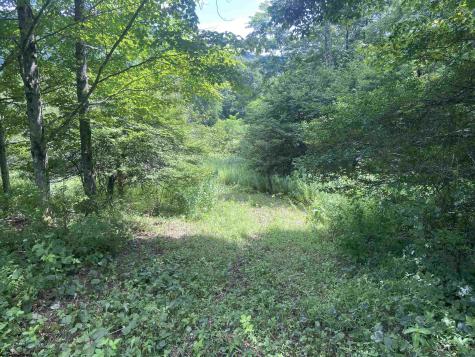 133 Sunset Mountain Village Drive Slaty Fork WV 26291