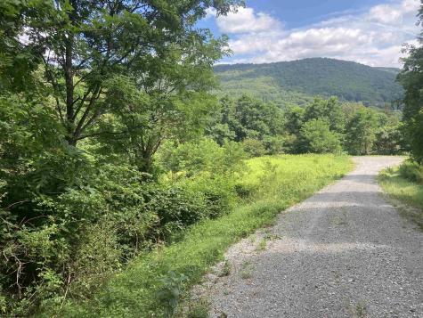 133 Sunset Mountain Village Drive Slaty Fork WV 26291