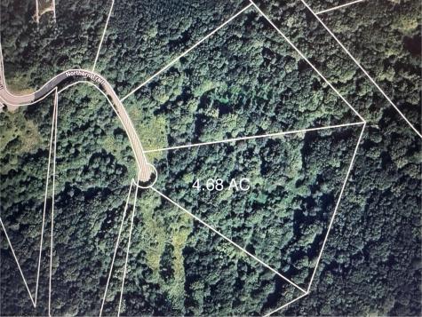 133 Sunset Mountain Village Drive Slaty Fork WV 26291