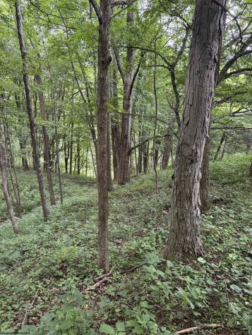 133 Sunset Mountain Village Drive Slaty Fork WV 26291
