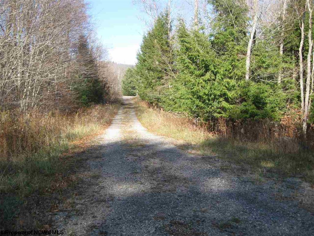 49 Mountain View Drive Davis WV 26260