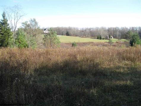 49 Mountain View Drive Davis WV 26260