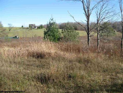 49 Mountain View Drive Davis WV 26260