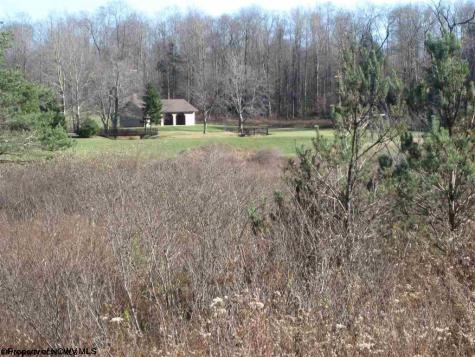 49 Mountain View Drive Davis WV 26260