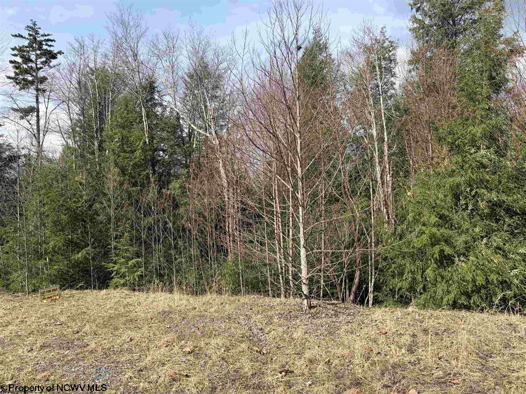 77 Bassilla Way Davis WV 26260